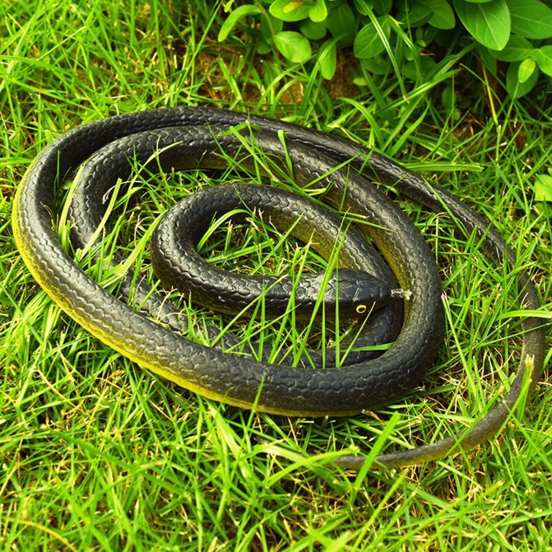 Black and Green Snakes, White Snakes, Realistic Toy Snakes, Prank Scare Toys, Round-Headed Field Snakes, Foreign Trade Wholesale, Toy Manufacturers Black and Green Snakes, White Snakes, Realistic Toy Snakes, Prank Scare Toys, Round-Headed Field Snakes, Foreign Trade Wholesale, Toy Manufacturers