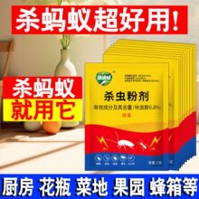 强效蚂蚁药全窝端家用非无毒厨房室内野外菜地灭蚁清一窝端灭蚁药
