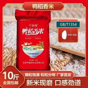 ������������������10���峣���ז|�����b�׮a�ذl؛�a��ֱ�l