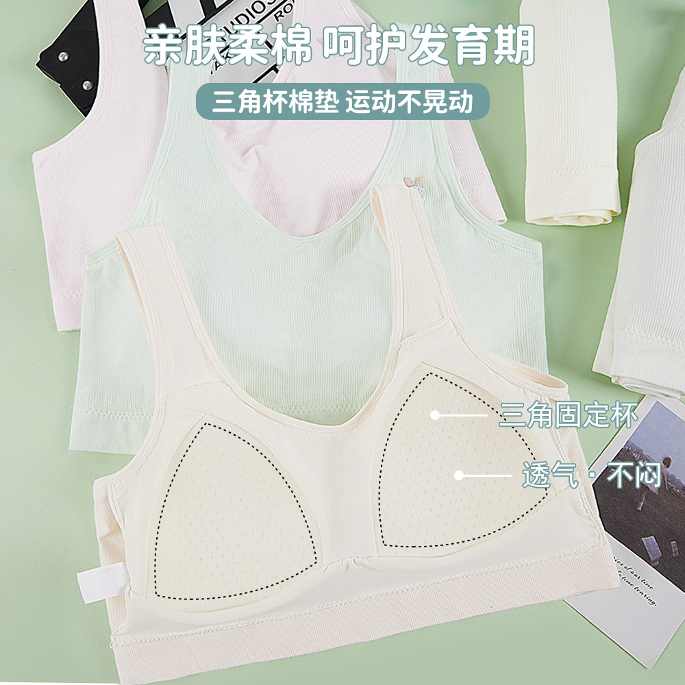 女大童少女青春发育期三阶段无缝小背心固定三角杯初高中学生内衣
