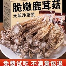 鹿茸菇干货云南土特产脆脆菇煲汤炒菜蘑菇野生菌官方旗舰店500g