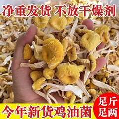 鸡油黄蘑干货食用黄金香菇菇煲汤料包邮古田汤包榆500g菇