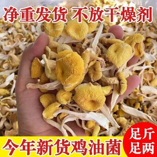 �u���SĢ��؛ʳ���S���㹽���Ҝ��ϰ��]�������500g��