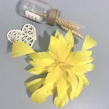 �Zë�ػ�diy�ֹ���͹ŚW�����b����^���Ʒ��ë�F�z���o�b�