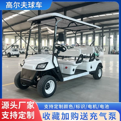 Electric Golf Cart Scenic Tourist Hotel Fuel Sightseeing Car 2-10 Seats Export Golf Cart