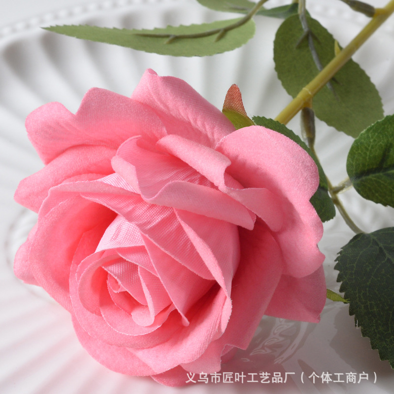 엘사 로즈 딥 핑크
