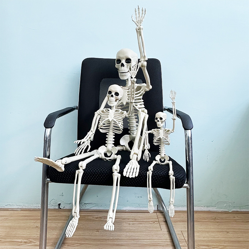 Helovīna simulācijas skeleta apdares kulonu butaforijas plastmasas cilvēka galvaskausa skelets var stāvēt locītavu kustīgs skelets_voghion.com