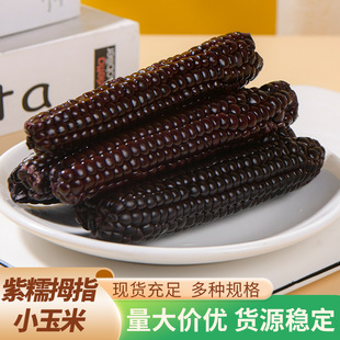 ��ϰ�{����ŴĴָ���׸��������ص�֬�ּZ����i�r���b���l���l