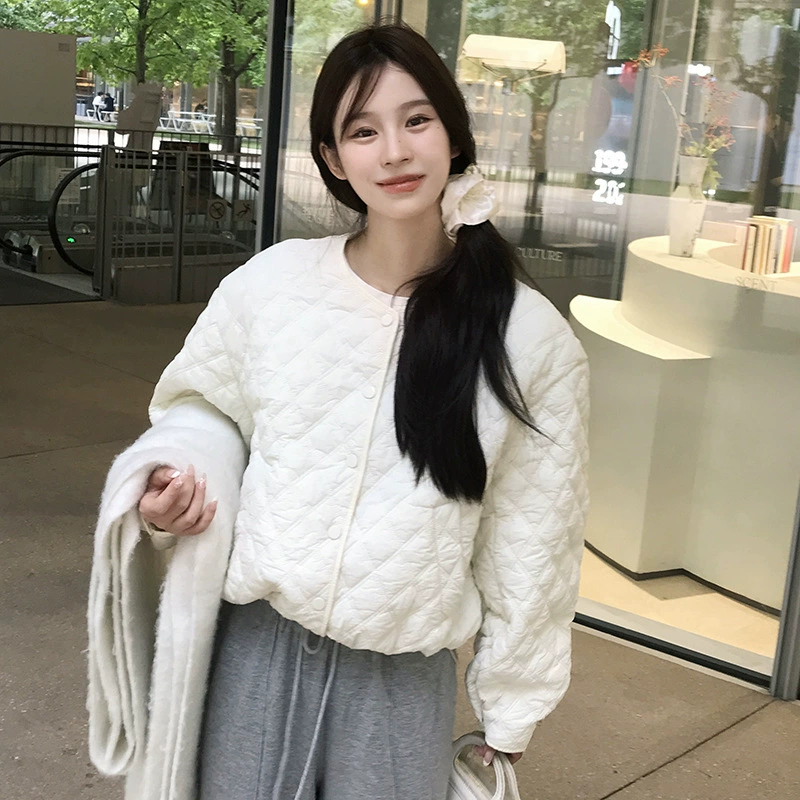 Демисезонная короткая куртка, стиль Chanel, корейский стиль, круглое воротник