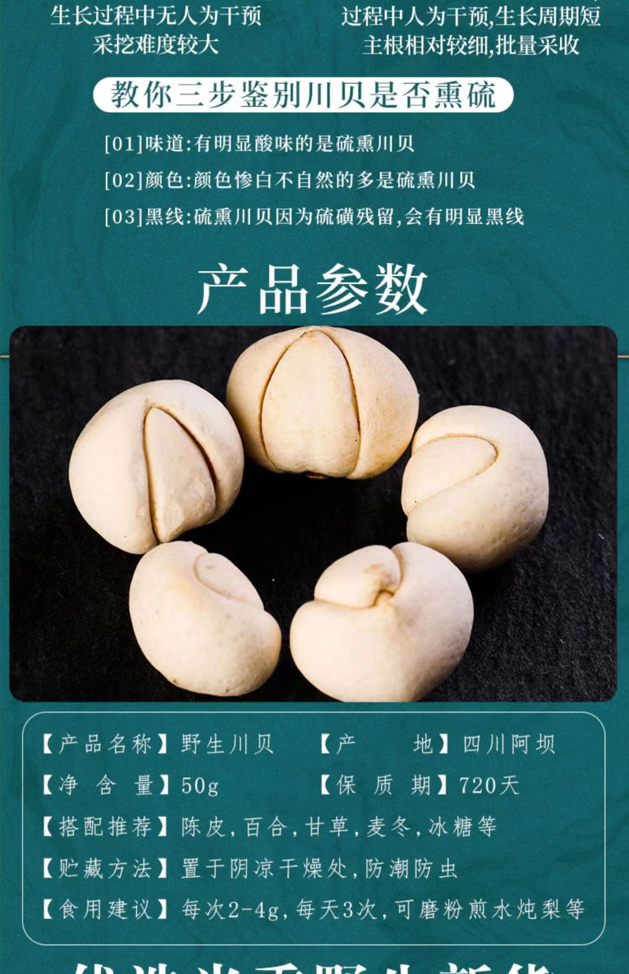 Sichuan Chuan Bei Mu Fritillaria Dried Bulbs 100g Traditional Chinese Herb for Decoction and Herbal Soup in use
