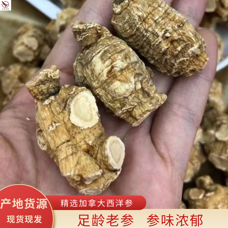 加拿大西洋参圆粒头散装精选切片圆片多规格参类滋补品软枝花旗参