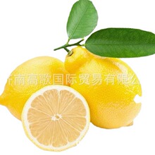 ���ҳ����ṩ����  lemon  ��ӭѯ��ѡ�� �۸�����