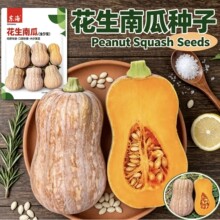 花生南瓜种子早中熟高产甜糯香甜干面南瓜种籽农家四季播蔬菜种子