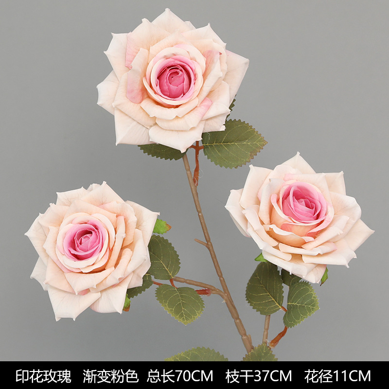 Printed Rose Gradient Powder