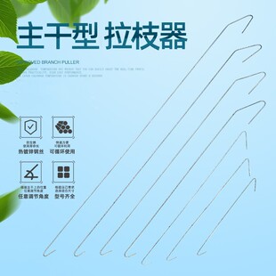 ��������֦���O������ֲ�@���´����@��֦�_����֦���������ҏS��