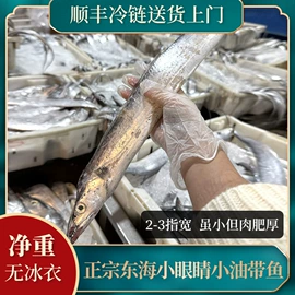 鱼类;鱼类零食;虾类