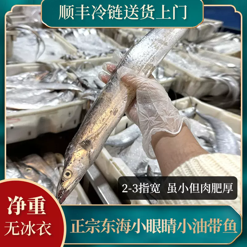 新日期东海小眼睛带鱼海捕新鲜本地带鱼水产海鲜刀鱼批发零售