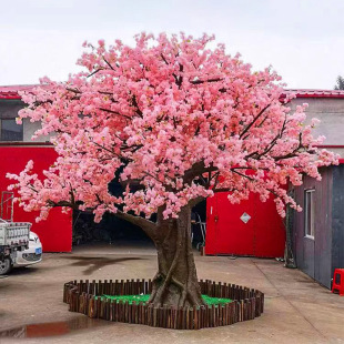 ���S���Ƹ߷�������҃Ȱ����Ӳ���䓼٘��Ř�Ƶ��̈��ѻ���