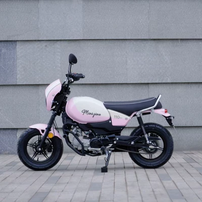 Rear Disc Brakes, Compact and Flexible, Motosikletlər