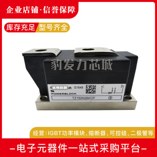 TZ310N24KOF TZ310N22KOF TZ310N20KOF New Silicon controlled module in stock