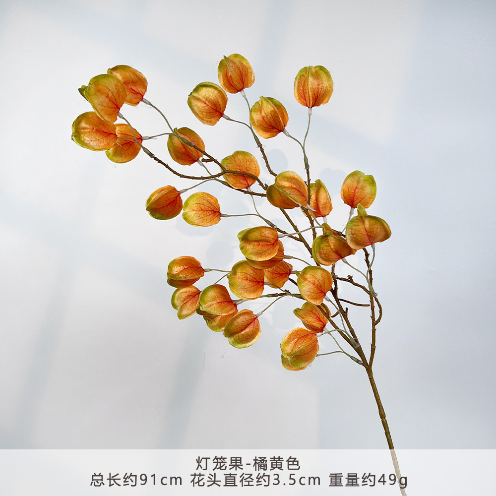 K-灯笼果-橘黄