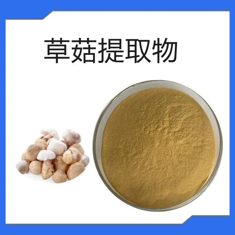 草菇提取物果蔬粉草菇粉规格10:1固体饮料支持拿样