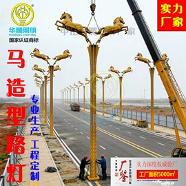 道路照明灯;景观灯;太阳能灯