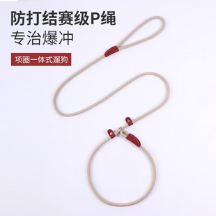 Factory wholesale pet dog traction rope explosion-proof walking dog rope integrated nylon leather buckle dog chain pull p rope
