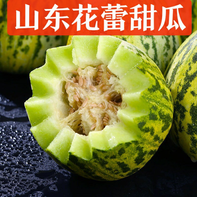 八里香花蕾甜瓜9号甜瓜水果新鲜 应季水果甜瓜香瓜非绿宝甜瓜博洋