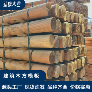 ���|�Fɼ�Aľ  �F؛�ٰl  ���󃞻݌�ľ�bAľ�����l