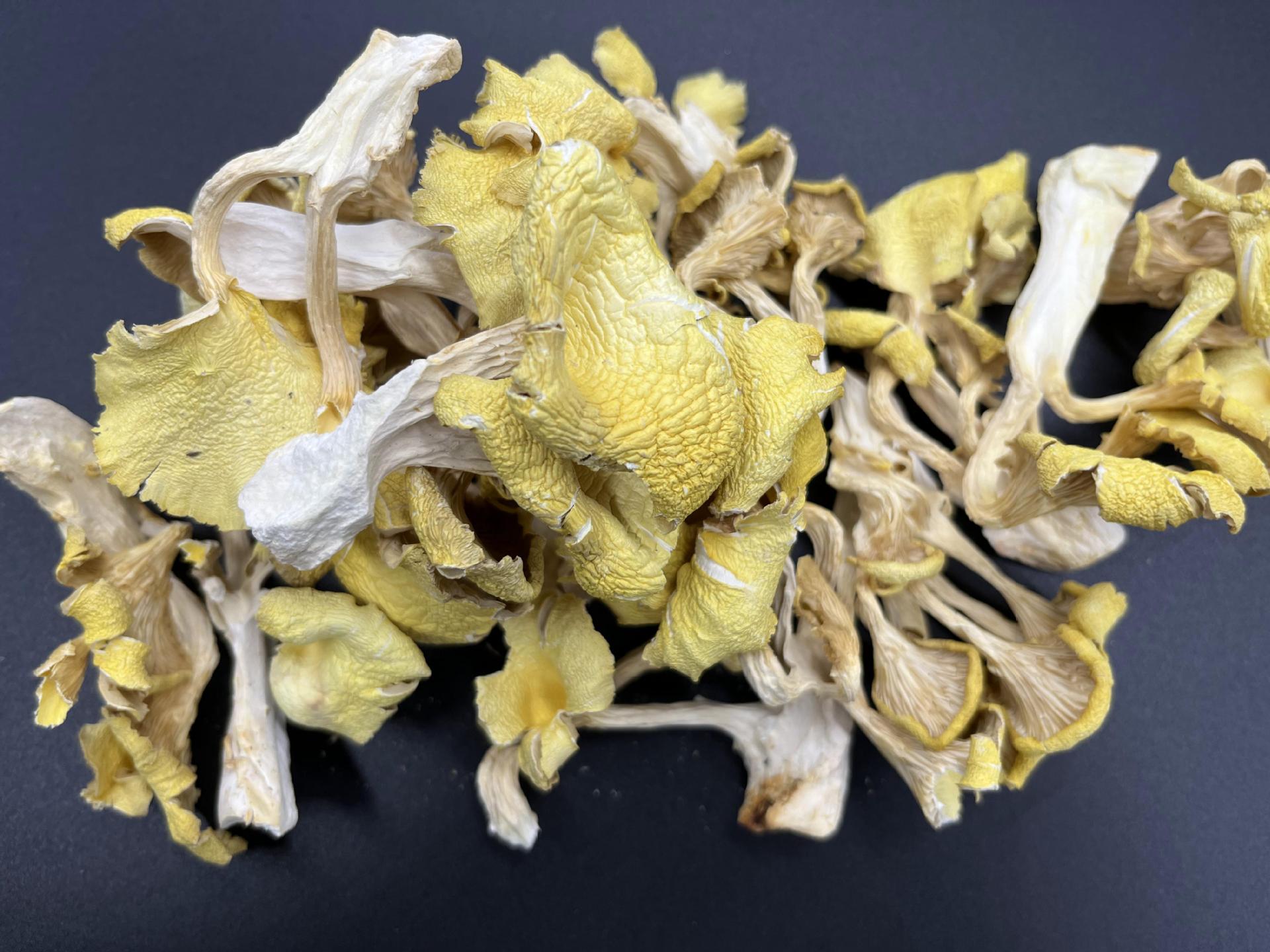 2022_11_09_10_29_IMG_9015