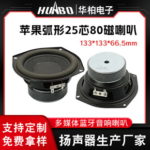 �O�����Α�����c�����25о80������ 4&Omega;40W���z߅���ʵ�����