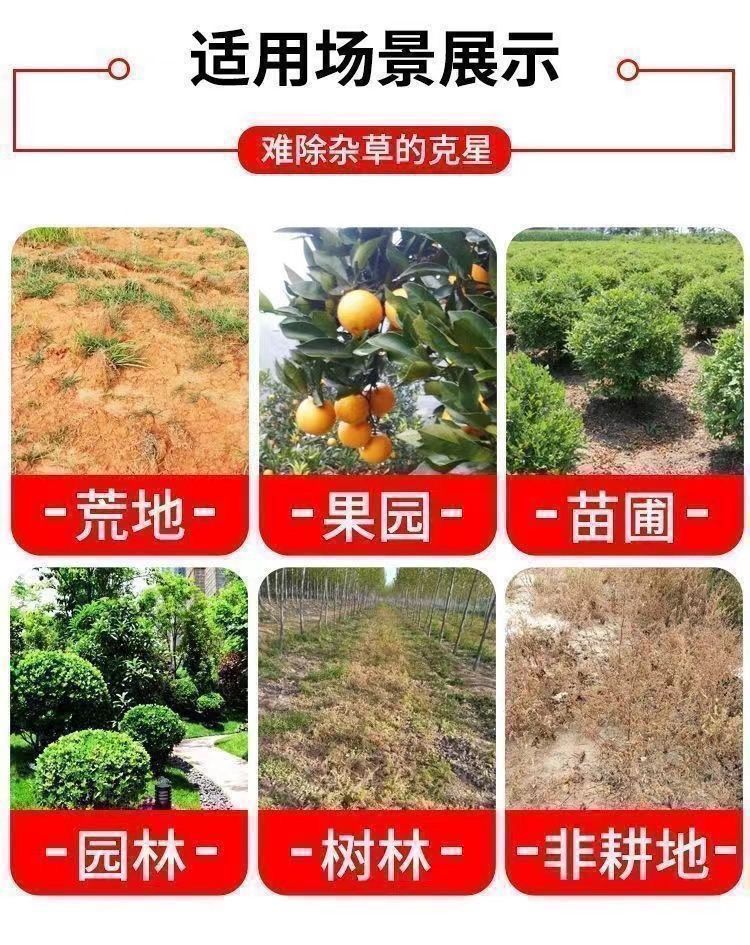 8b26a990-7ad4-40aa-b237-2c3614a55286.jpe