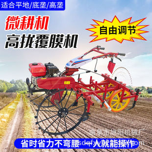 ΢���C�߉Ÿ�Ĥ�C170��������ʽ��Ĥ�C���ȿ��{���������Ĥ�C