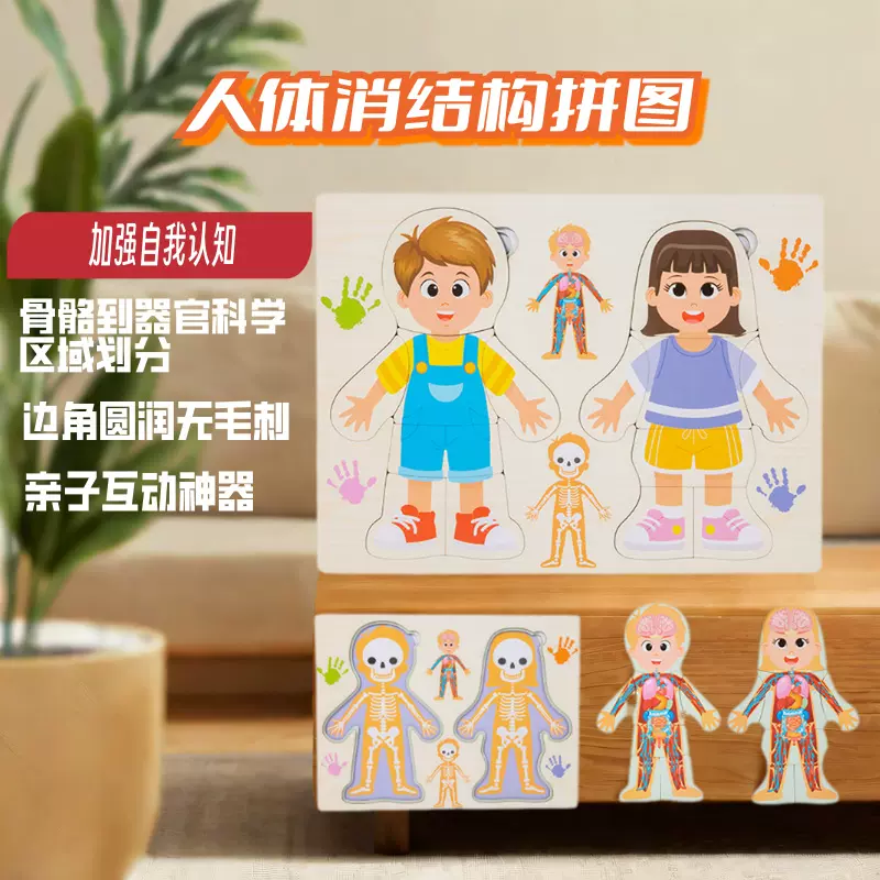 木制人体结构拼图早教身体认知多层拼块手眼协调安全材质趣味益智