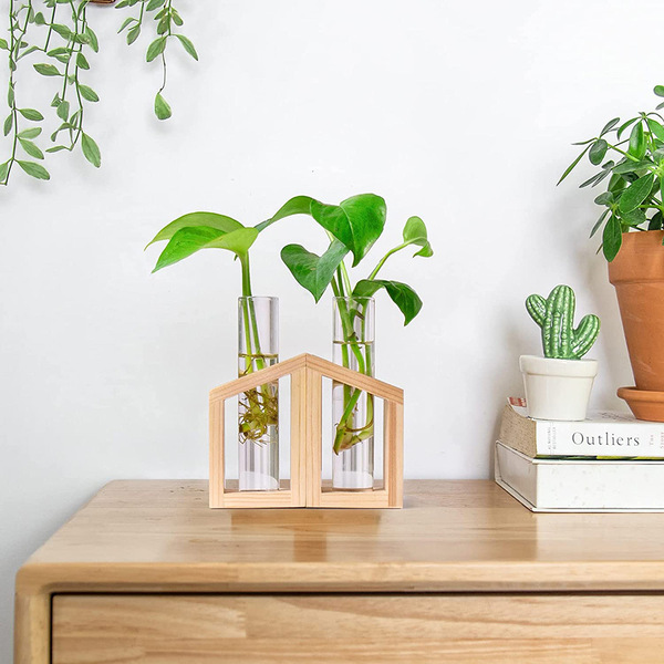 Glass small test tube plants for experiments
