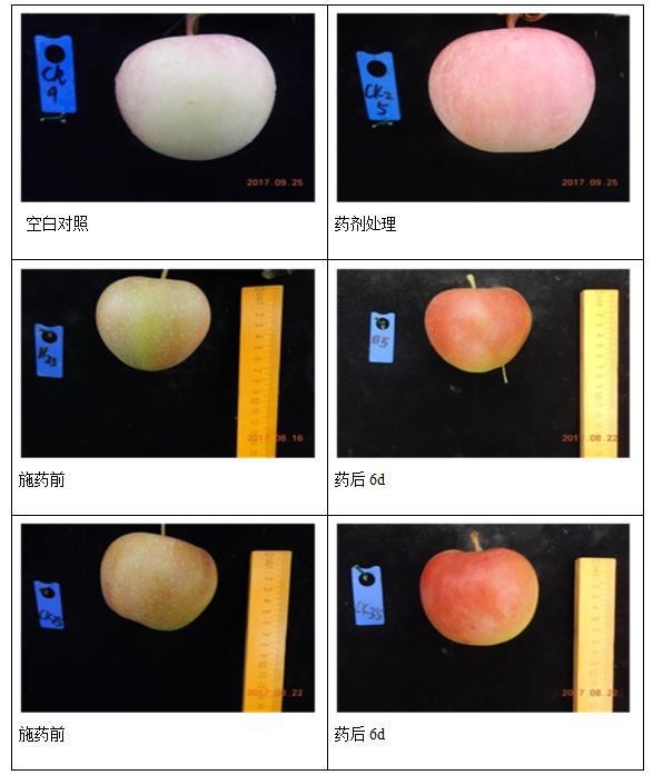 O1CN012LF9zi2214c0C1N1A_!!2214