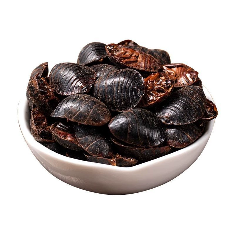 Китайских дождевых червей можно измельчить в порошок, получив настоящие и высококачественные черви.