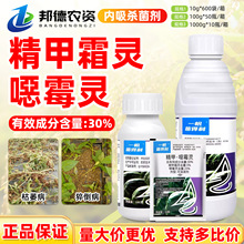 һ������ ��������א�ù�`���Ͽ�ή������˪�`�fù�`�rș������