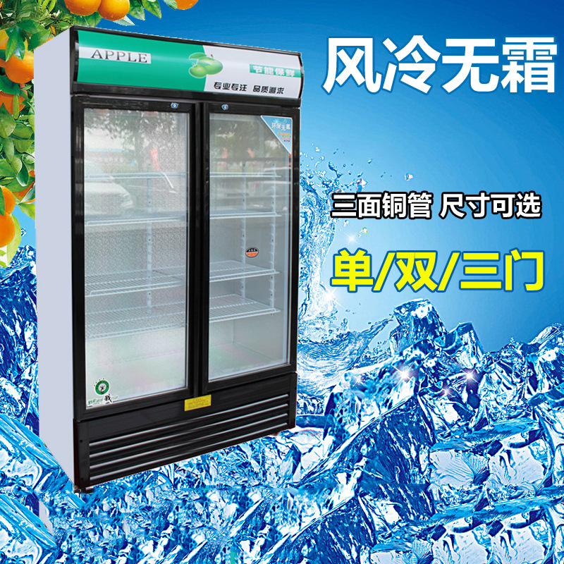 冷藏展示柜保鲜饮料柜商用超市冰箱小型啤酒柜立式双门冰柜