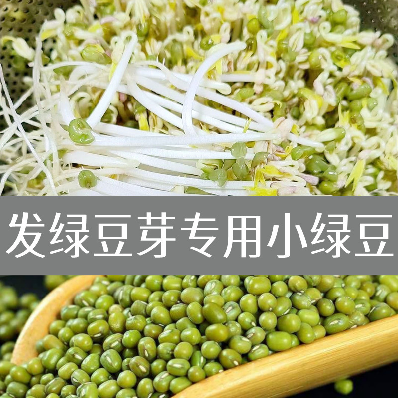新豆発もやし専用小大豆非遺伝子組換え690小金黄真珠粒発もやし納豆打豆乳|undefined