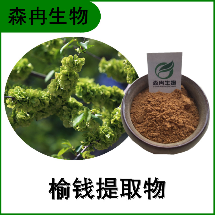 榆钱提取物 榆实浓缩粉 榆钱粉 植物提取原料粉 厂家批发 全水溶