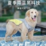 夏季透气防暑降温背心