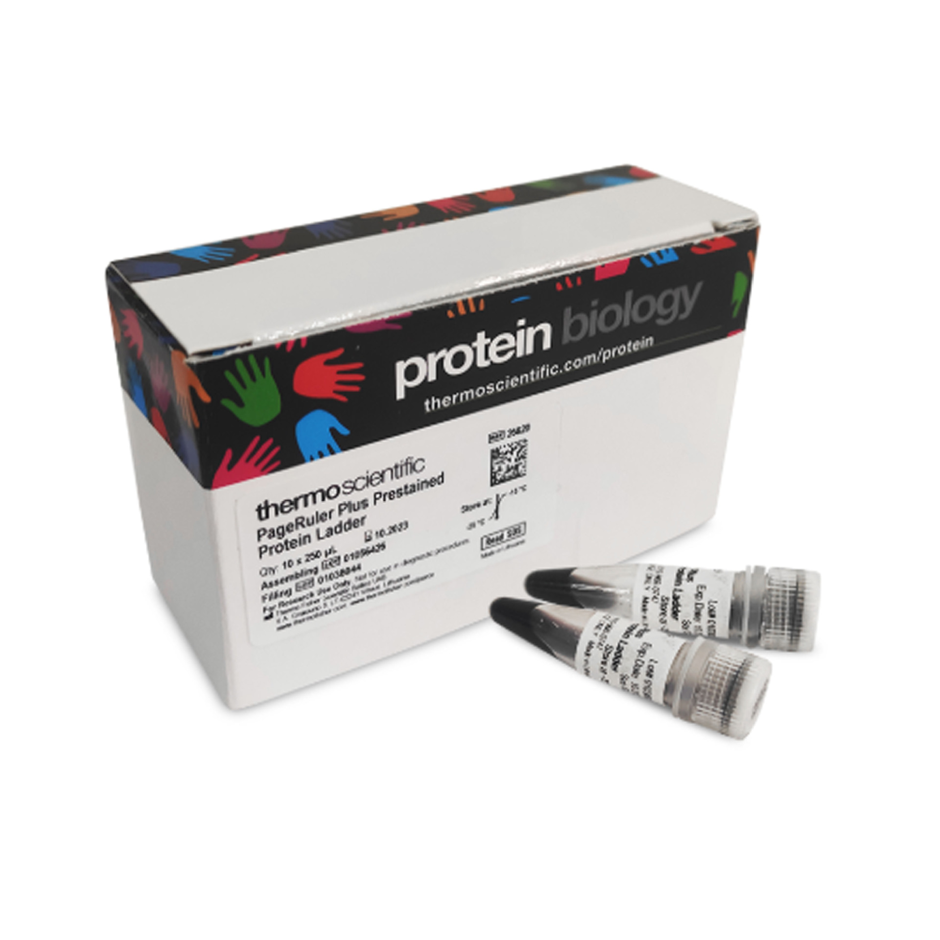 Fermentas 26620 试剂PageRule Plus Prestained Protein10x250ul