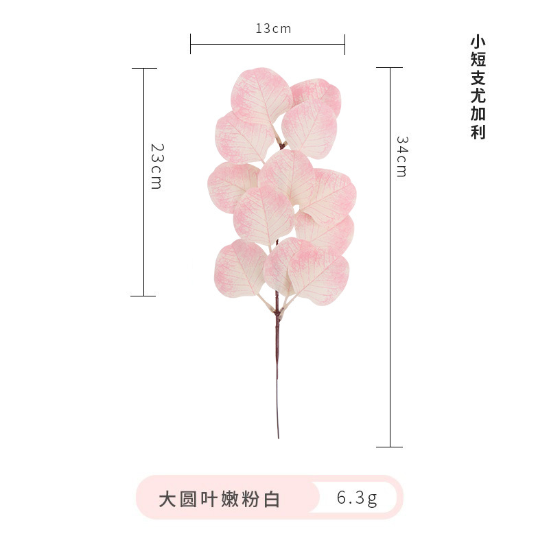 22669824889_136763060