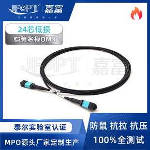 �z�b���w����MPO-MPO OM3��ģ����24о10G/25G���ɾW�j��ݔ��ĸ�^