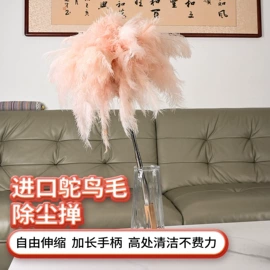 除尘掸;羽毛、羽绒;其他工艺品