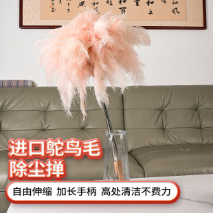 �羳���N���R�d��ľ�ֱ���ʽ�����r�Bë�۷�ɫϵ�r�Bë�����b�