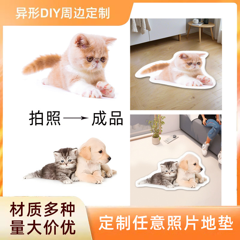 Pet Special-Shaped Carpet, Customized Cat and Dog Mat, Living Room Sofa, Entry Door, Bedside Blanket, Photo Gift, One Piece Customized