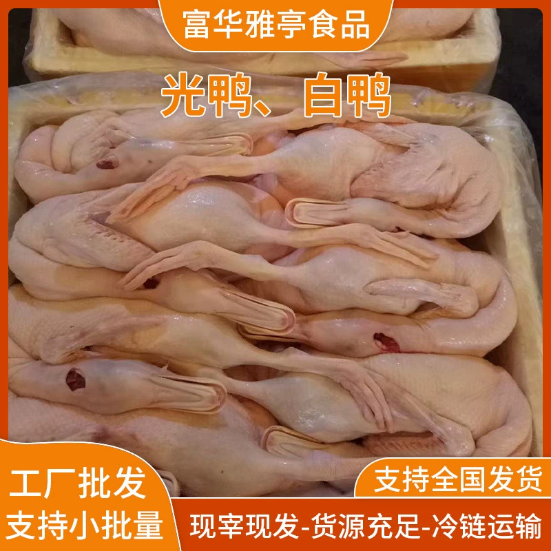 Свежеубитая белая утка того же дня, тушеная утка, жареная утка, поставка ингредиентов для ресторанов и отелей, белая утка свободного выгула, утка без костей.